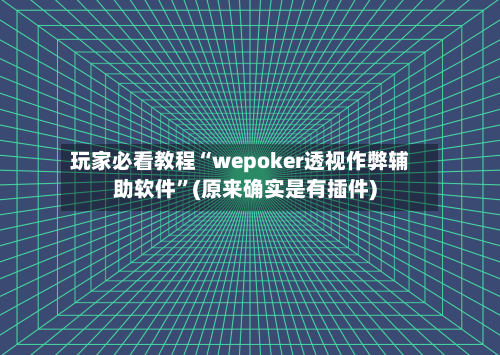 玩家必看教程“wepoker透视作弊辅助软件”(原来确实是有插件)-第2张图片