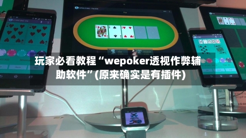 玩家必看教程“wepoker透视作弊辅助软件	”(原来确实是有插件)-第3张图片