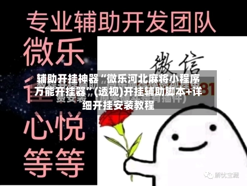 辅助开挂神器“微乐河北麻将小程序万能开挂器”(透视)开挂辅助脚本+详细开挂安装教程-第3张图片