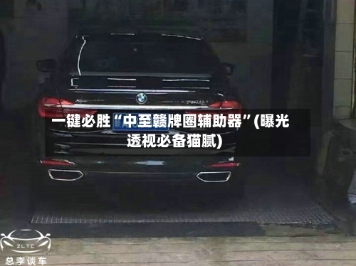 一键必胜“中至赣牌圈辅助器”(曝光透视必备猫腻)