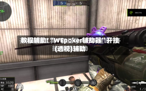教程辅助!“WEpoker辅助器”开挂(透视)辅助-第2张图片