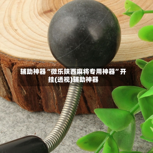 辅助神器“微乐陕西麻将专用神器”开挂(透视)辅助神器-第2张图片