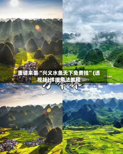 重磅来袭“兴义水鱼天下免费挂	”(透视挂)详细用法教程-第2张图片