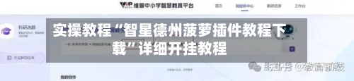 实操教程“智星德州菠萝插件教程下载”详细开挂教程-第2张图片