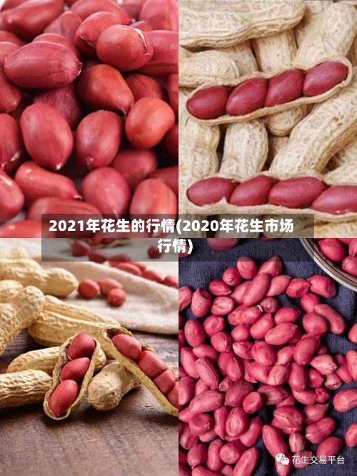 2021年花生的行情(2020年花生市场行情)-第2张图片