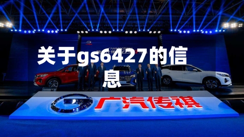 关于gs6427的信息