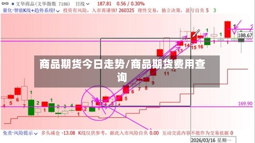 商品期货今日走势/商品期货费用查询