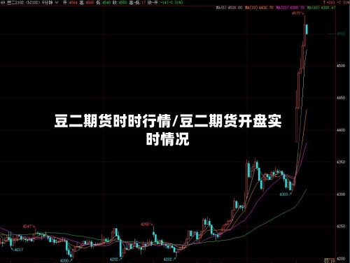 豆二期货时时行情/豆二期货开盘实时情况