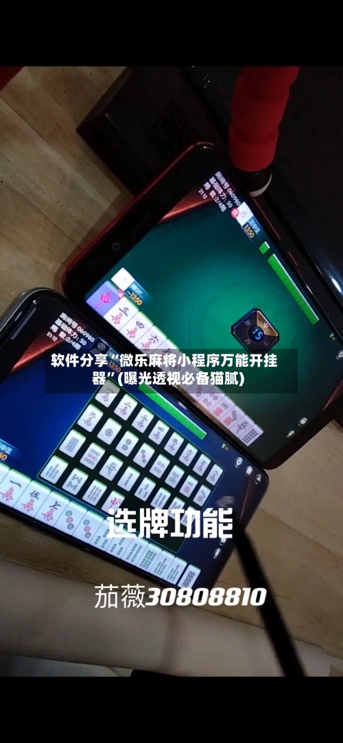 软件分享“微乐麻将小程序万能开挂器”(曝光透视必备猫腻)-第2张图片