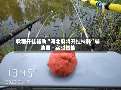 教程开挂辅助“河北麻将开挂神器”辅助器 - 实时智能