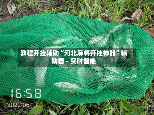 教程开挂辅助“河北麻将开挂神器”辅助器 - 实时智能-第3张图片