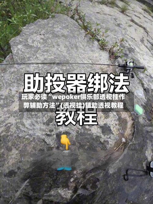 玩家必读“wepoker俱乐部透视挂作弊辅助方法	”(透视挂)辅助透视教程-第3张图片