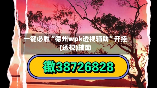 一键必胜“德州wpk透视辅助”开挂(透视)辅助-第3张图片