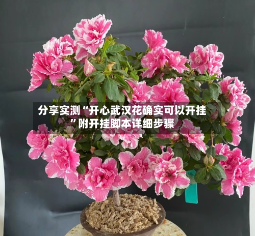 分享实测“开心武汉花确实可以开挂”附开挂脚本详细步骤-第2张图片