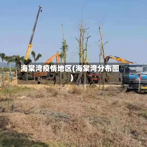 海棠湾疫情地区(海棠湾分布图)-第2张图片