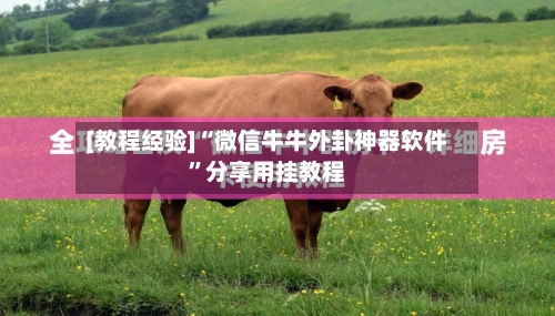 [教程经验]“微信牛牛外卦神器软件	”分享用挂教程-第2张图片