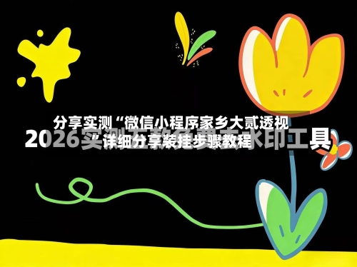 分享实测“微信小程序家乡大贰透视	”详细分享装挂步骤教程-第2张图片