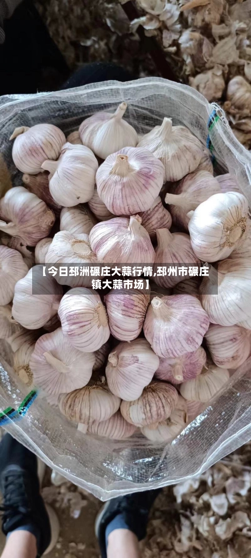 【今日邳洲碾庄大蒜行情,邳州市碾庄镇大蒜市场】