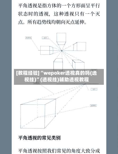 [教程经验]“wepoker透视真的吗(透视挂)”(透视挂)辅助透视教程-第2张图片