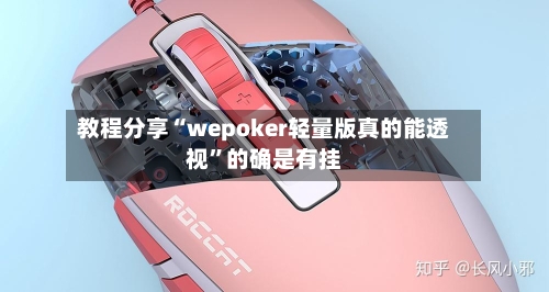 教程分享“wepoker轻量版真的能透视”的确是有挂-第3张图片