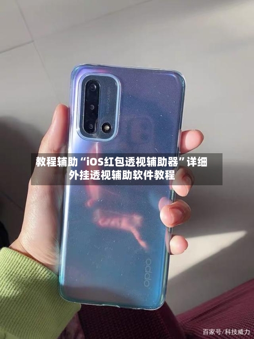 教程辅助“iOS红包透视辅助器	”详细外挂透视辅助软件教程-第2张图片