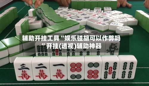 辅助开挂工具“娱乐碰胡可以作弊吗”开挂(透视)辅助神器-第3张图片