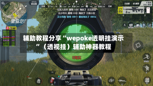 辅助教程分享“wepoke透明挂演示”（透视挂）辅助神器教程-第2张图片