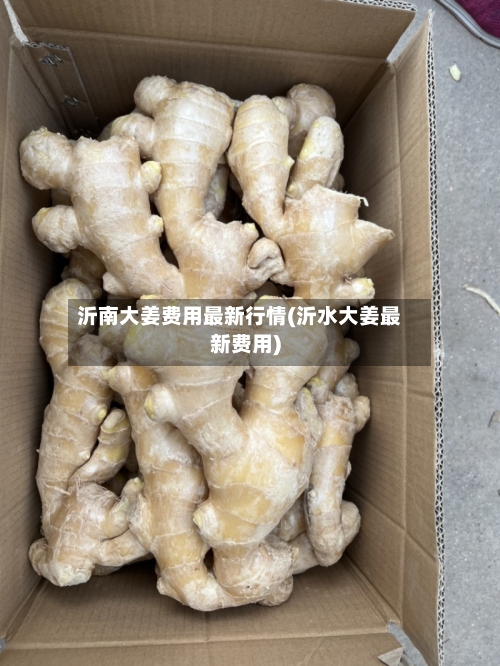沂南大姜费用最新行情(沂水大姜最新费用)