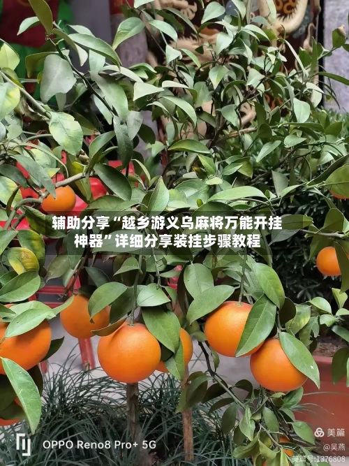 辅助分享“越乡游义乌麻将万能开挂神器”详细分享装挂步骤教程