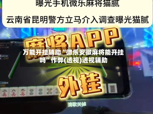 万能开挂辅助“微乐安徽麻将能开挂吗”作弊(透视)透视辅助-第2张图片