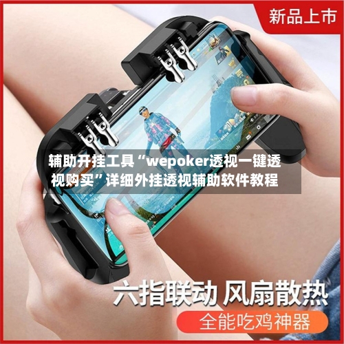 辅助开挂工具“wepoker透视一键透视购买”详细外挂透视辅助软件教程-第3张图片