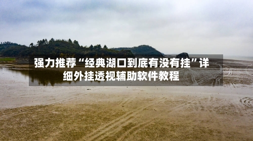 强力推荐“经典湖口到底有没有挂”详细外挂透视辅助软件教程-第3张图片