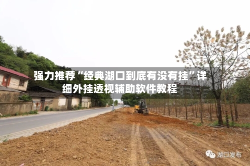 强力推荐“经典湖口到底有没有挂	”详细外挂透视辅助软件教程-第2张图片