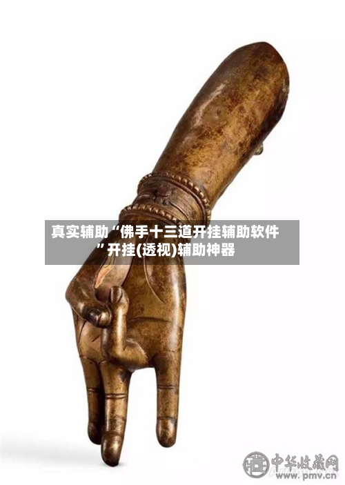 真实辅助“佛手十三道开挂辅助软件”开挂(透视)辅助神器-第2张图片