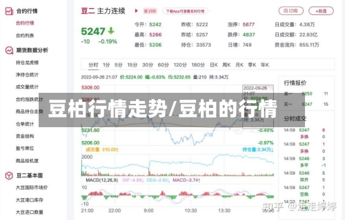 豆柏行情走势/豆柏的行情-第3张图片