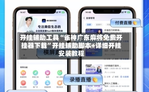 开挂辅助工具“雀神广东麻将免费开挂器下载”开挂辅助脚本+详细开挂安装教程-第3张图片