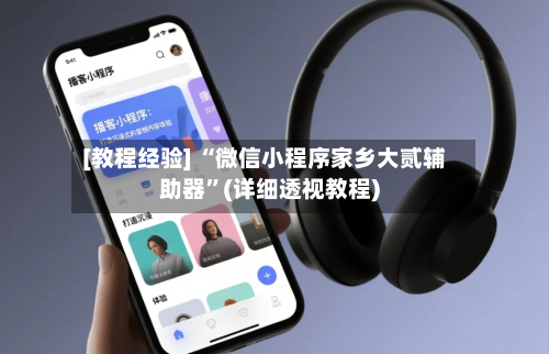 [教程经验] “微信小程序家乡大贰辅助器”(详细透视教程)-第3张图片