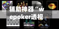 辅助神器“wepoker透视挂的玩法”(详细透视教程)
