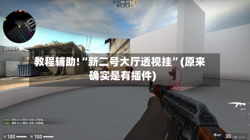 教程辅助!“新二号大厅透视挂”(原来确实是有插件)-第3张图片