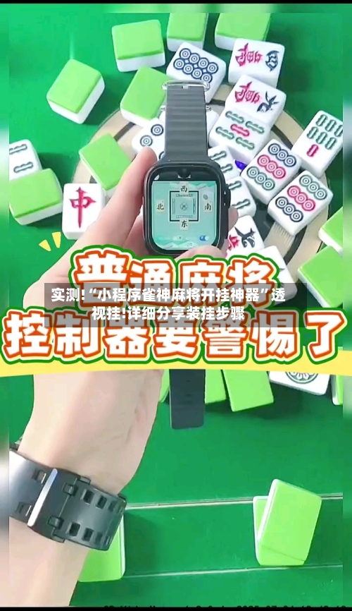 实测!“小程序雀神麻将开挂神器”透视挂!详细分享装挂步骤-第3张图片