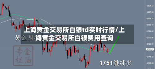上海黄金交易所白银td实时行情/上海黄金交易所白银费用查询-第2张图片