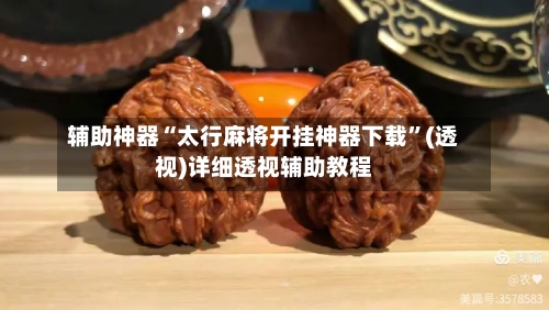 辅助神器“太行麻将开挂神器下载”(透视)详细透视辅助教程-第3张图片