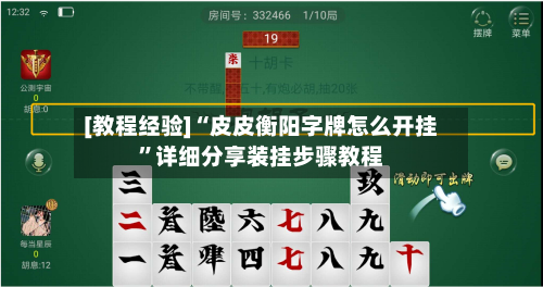 [教程经验]“皮皮衡阳字牌怎么开挂”详细分享装挂步骤教程-第3张图片