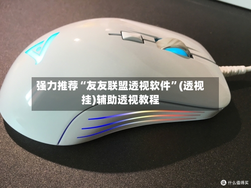 强力推荐“友友联盟透视软件	”(透视挂)辅助透视教程-第2张图片