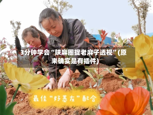 3分钟学会“陕麻圈捉老麻子透视”(原来确实是有插件)