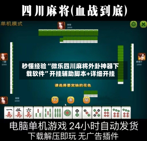 秒懂经验“微乐四川麻将外卦神器下载软件”开挂辅助脚本+详细开挂-第2张图片
