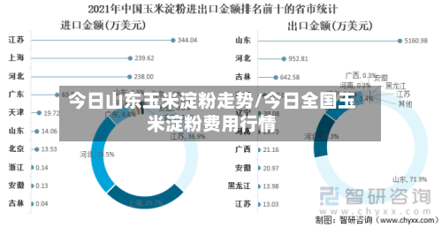 今日山东玉米淀粉走势/今日全国玉米淀粉费用行情