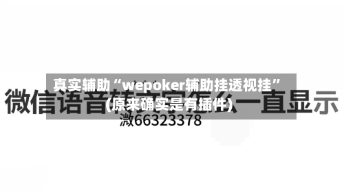 真实辅助“wepoker辅助挂透视挂”(原来确实是有插件)-第2张图片