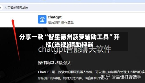 分享一款“智星德州菠萝辅助工具”开挂(透视)辅助神器-第3张图片