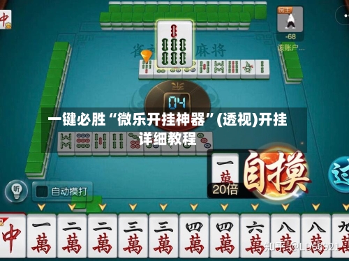 一键必胜“微乐开挂神器”(透视)开挂详细教程-第2张图片